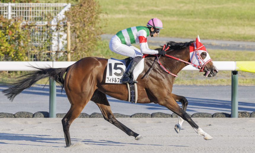 3歳以上1勝クラス：フィドルファドルが勝利