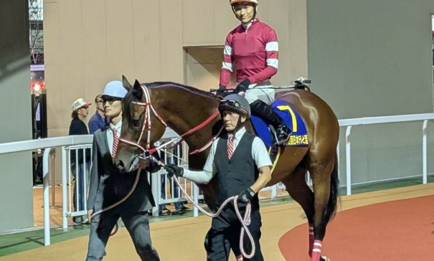 日本テレビ盃：フォーエバーヤングが秋初戦を快勝