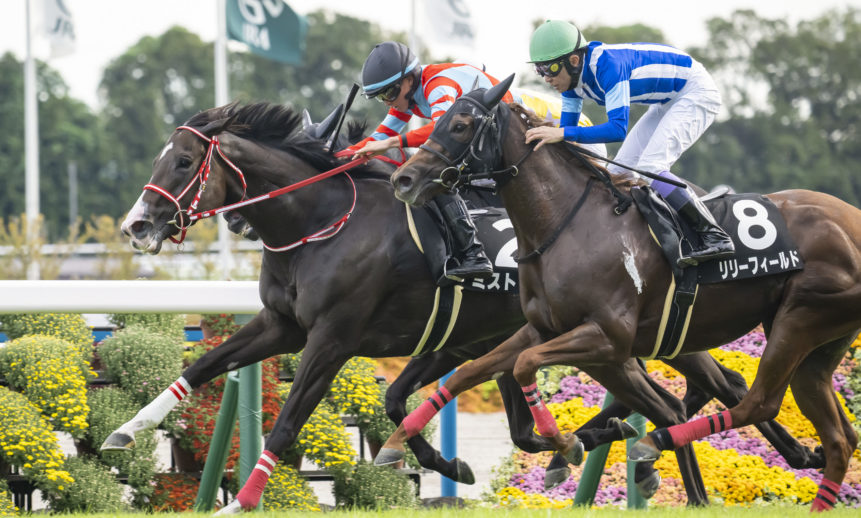 宇治川特別：ミストレスが勝利