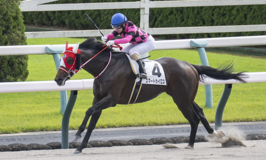 3歳以上1勝クラス：スマートカイロスが勝利