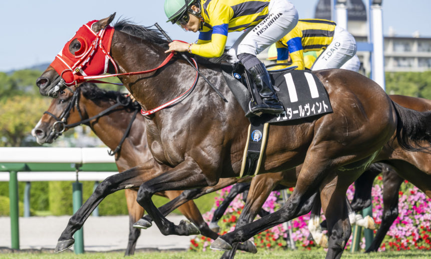 道頓堀ステークス：シュタールヴィントが勝利でオープン入り