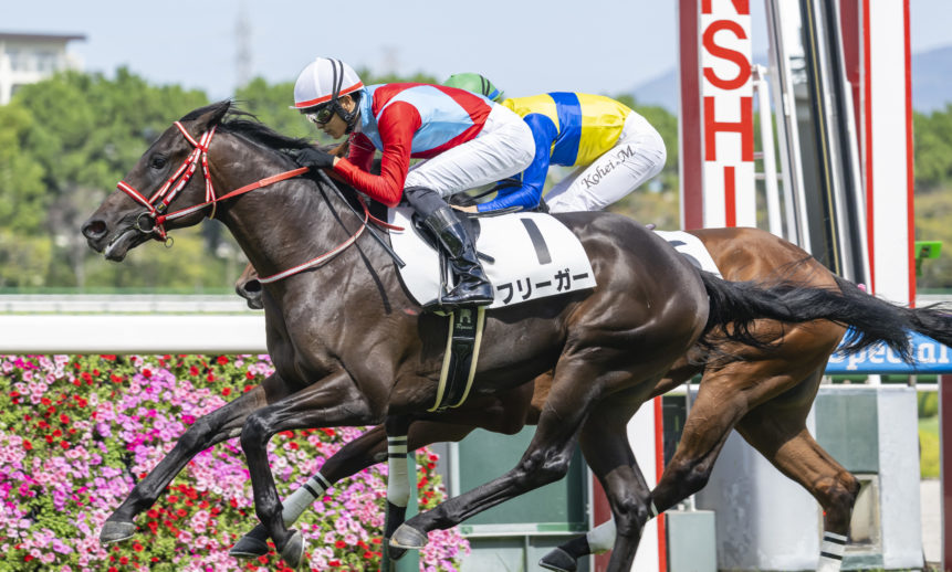 メイクデビュー阪神：フリーガーが新馬戦勝利