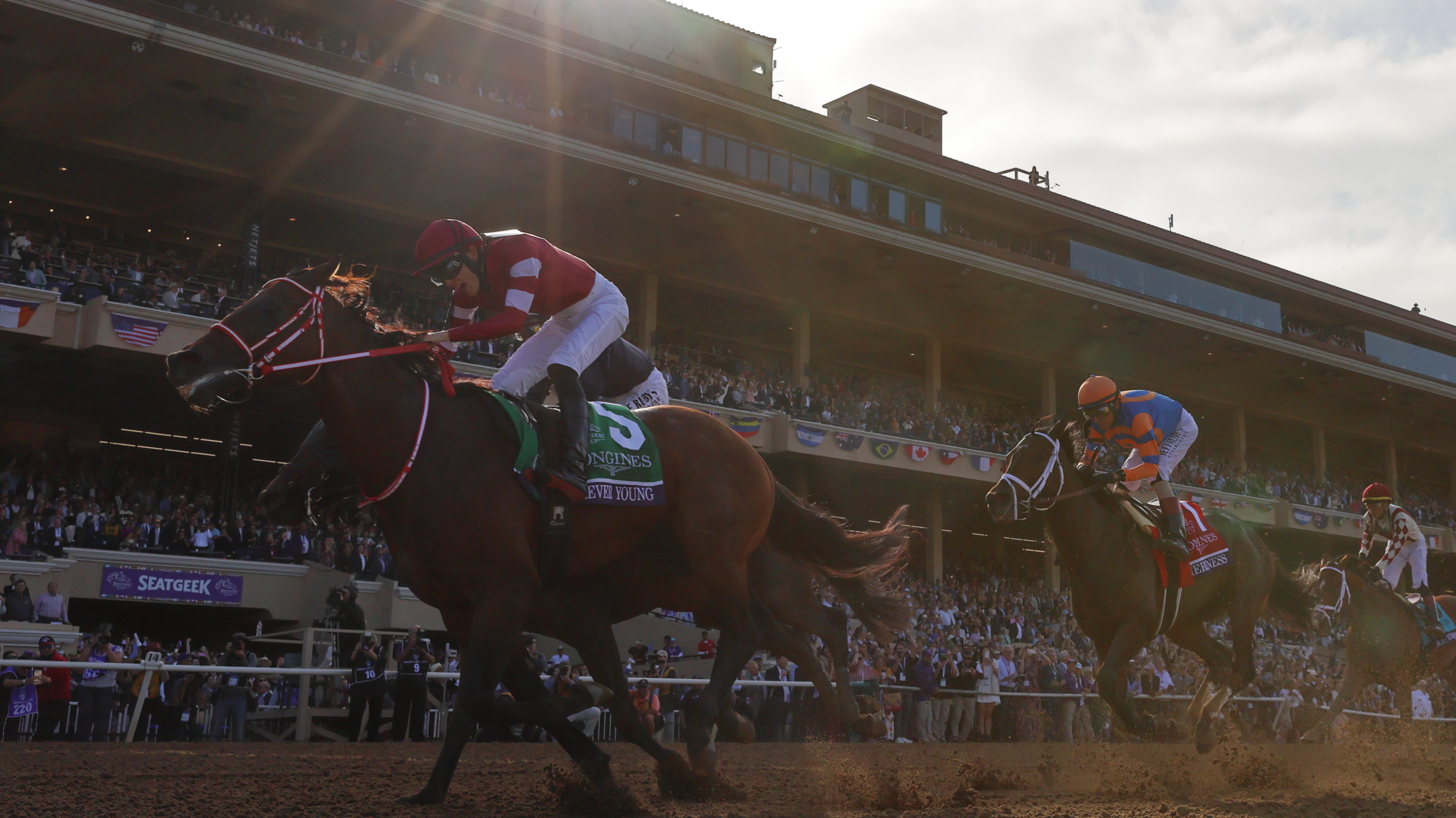 米BCクラシック：フォーエバーヤングが歴史的快挙！日本調教馬初のクラシック制覇